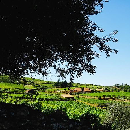 Quinta Do Monte Travesso - Country Houses & Winery Tabuaco Exterior photo