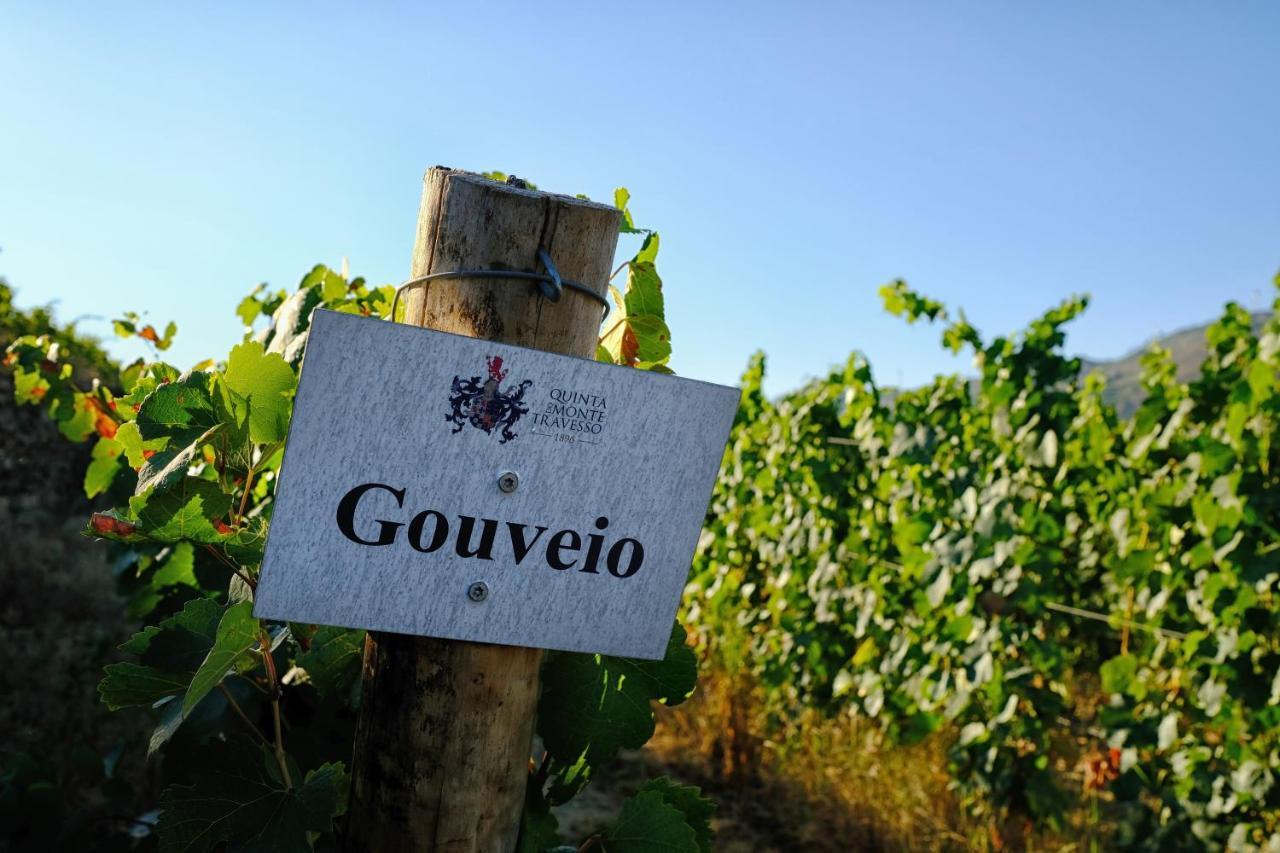 Quinta Do Monte Travesso - Country Houses & Winery Tabuaco Exterior photo